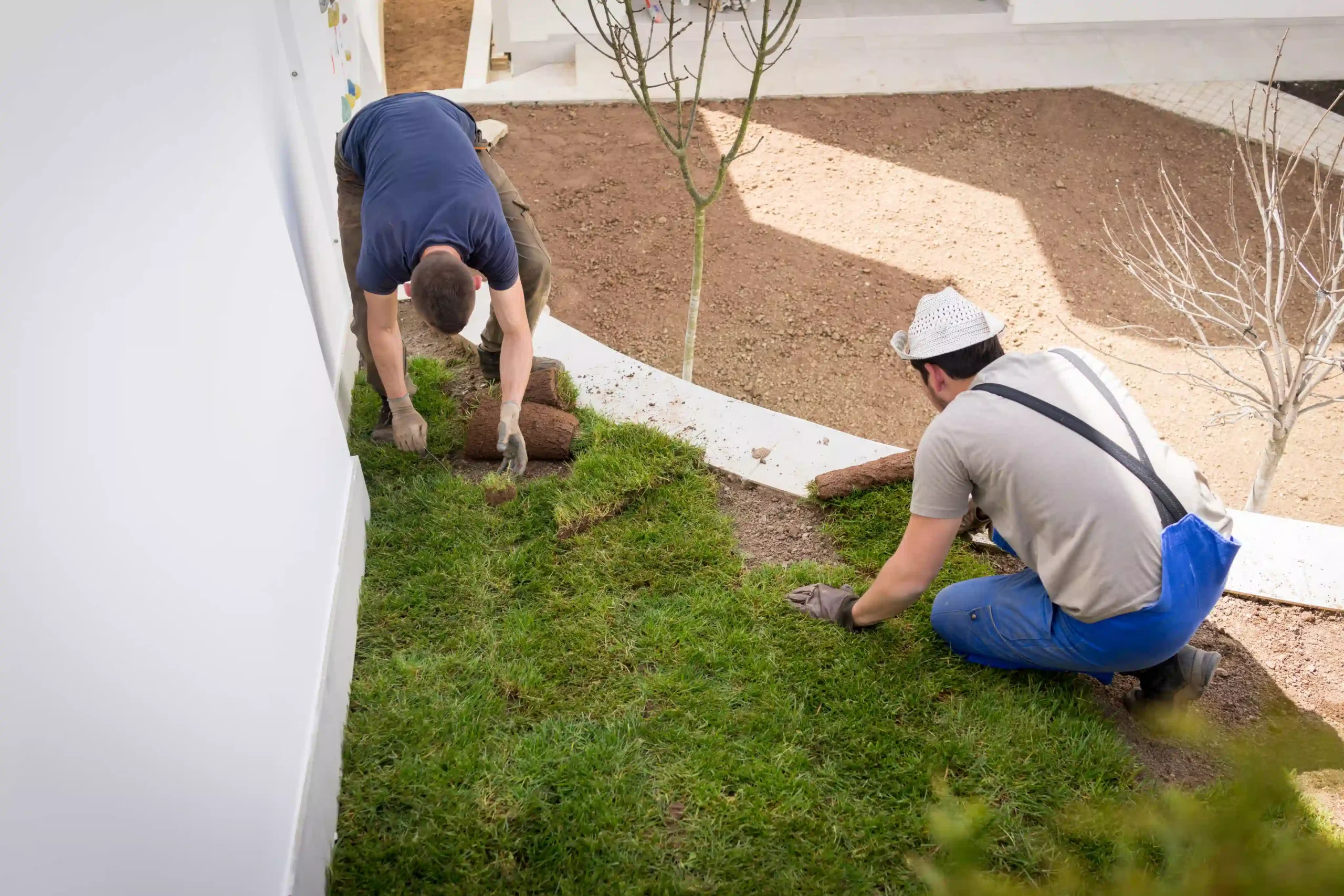 Two workers laying fresh grass sod in a landscaped yard with bare soil and young trees.